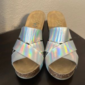 Blowfish cork wedges